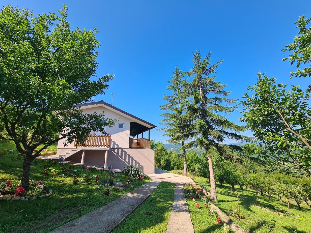 Apartmani Kuljanin Donji Milanovac Zewnętrze zdjęcie