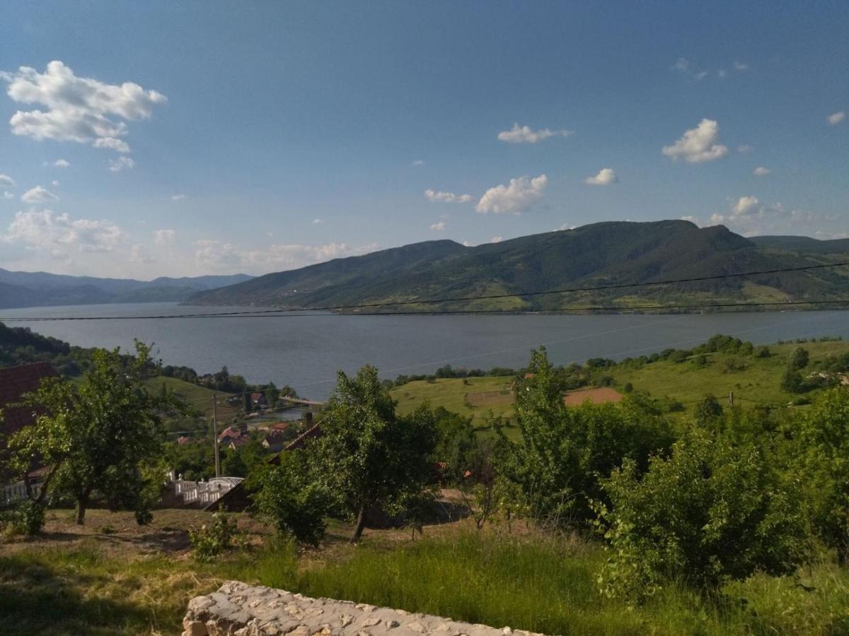 Apartmani Kuljanin Donji Milanovac Zewnętrze zdjęcie