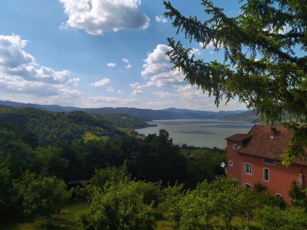 Apartmani Kuljanin Donji Milanovac Zewnętrze zdjęcie